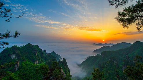 張家界森林公園（金鞭溪、袁家界、楊家界、天子山、十里畫廊）住山上2天1游（可看日出）